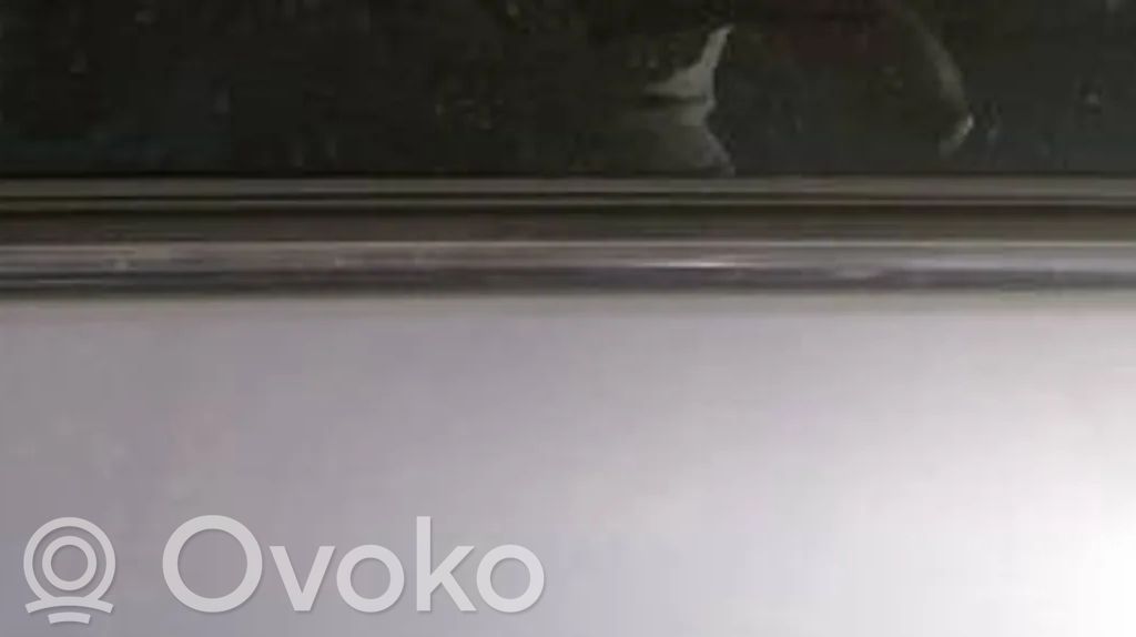 Verkleidung Türfenster Türscheibe hinten