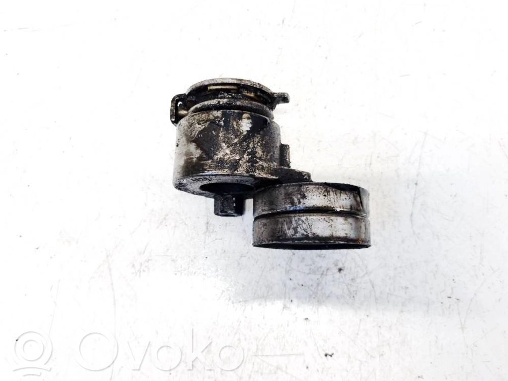 Renault Scenic II - Grand scenic II Tendicinghia generatore/alternatore