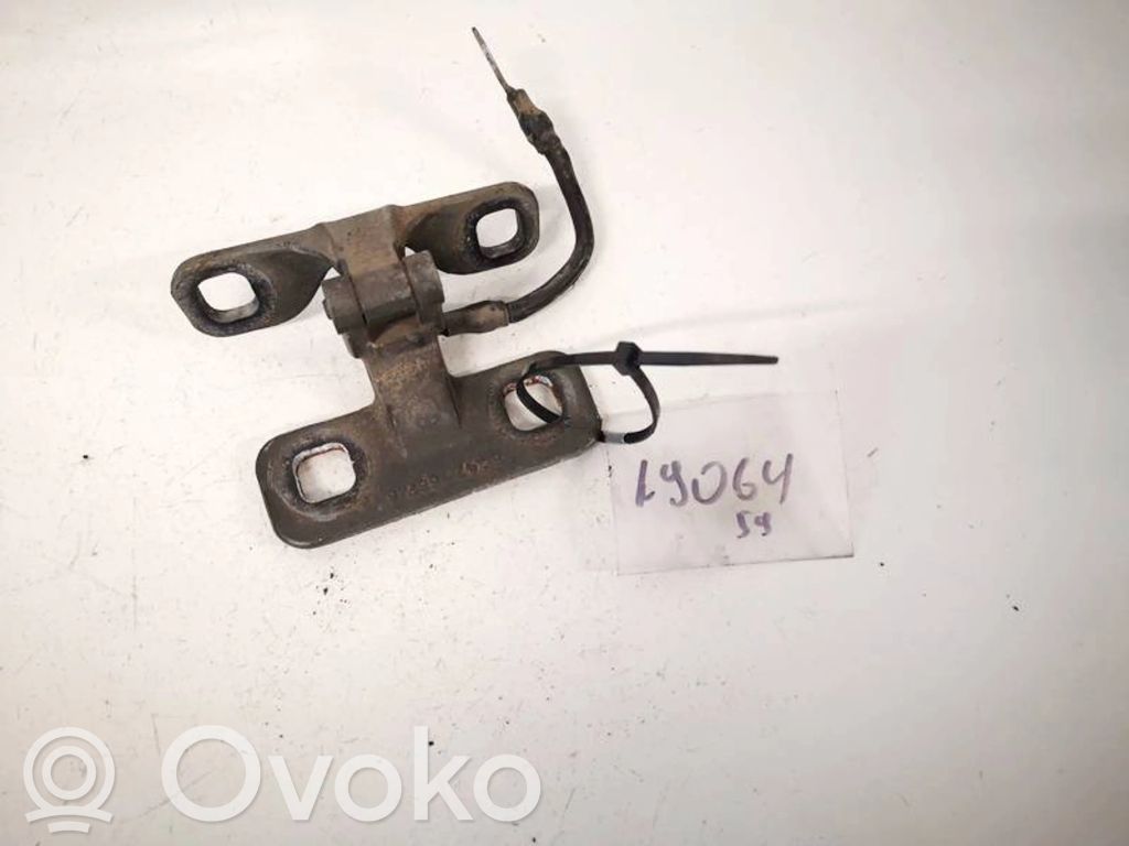 BMW X5 E53 Cerniera portellone posteriore/bagagliaio 