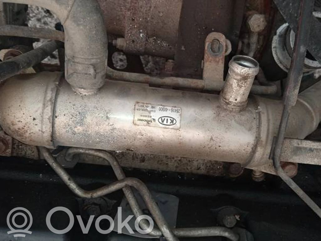 KIA Carnival Valvola di raffreddamento EGR