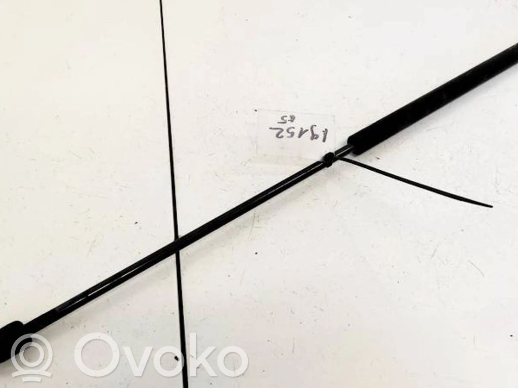 Opel Signum Amortizor capotă motor 