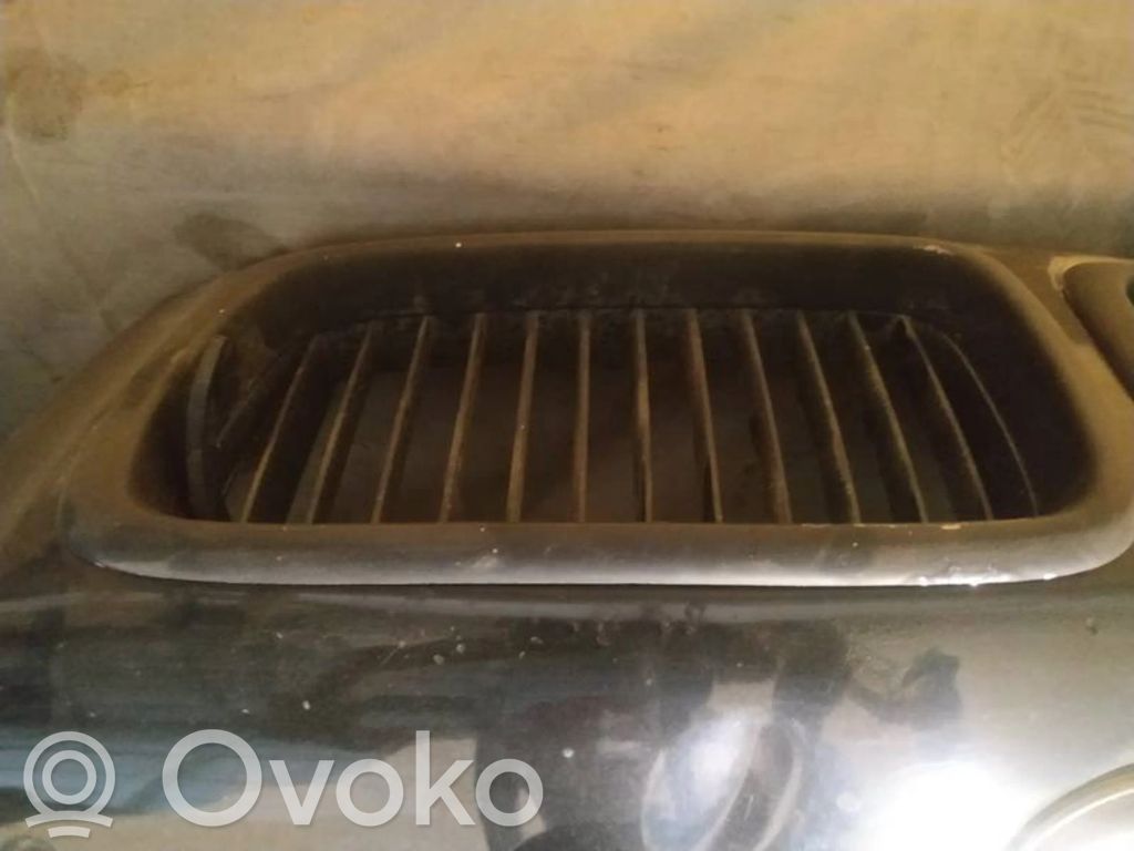 Atrapa chłodnicy / Grill