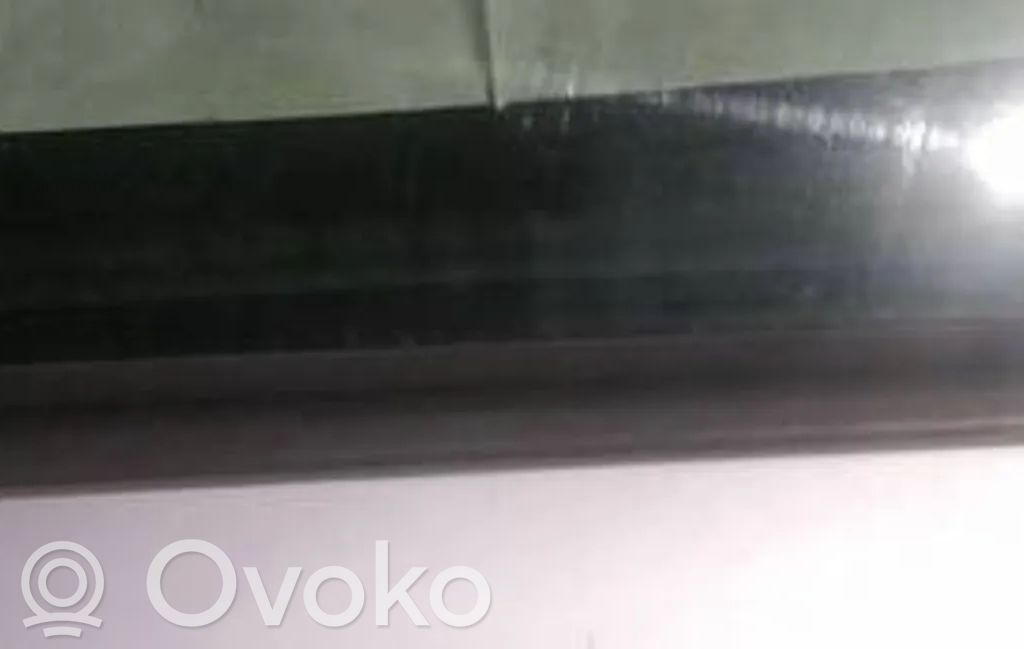 Listón embellecedor de la ventana de la puerta delantera
