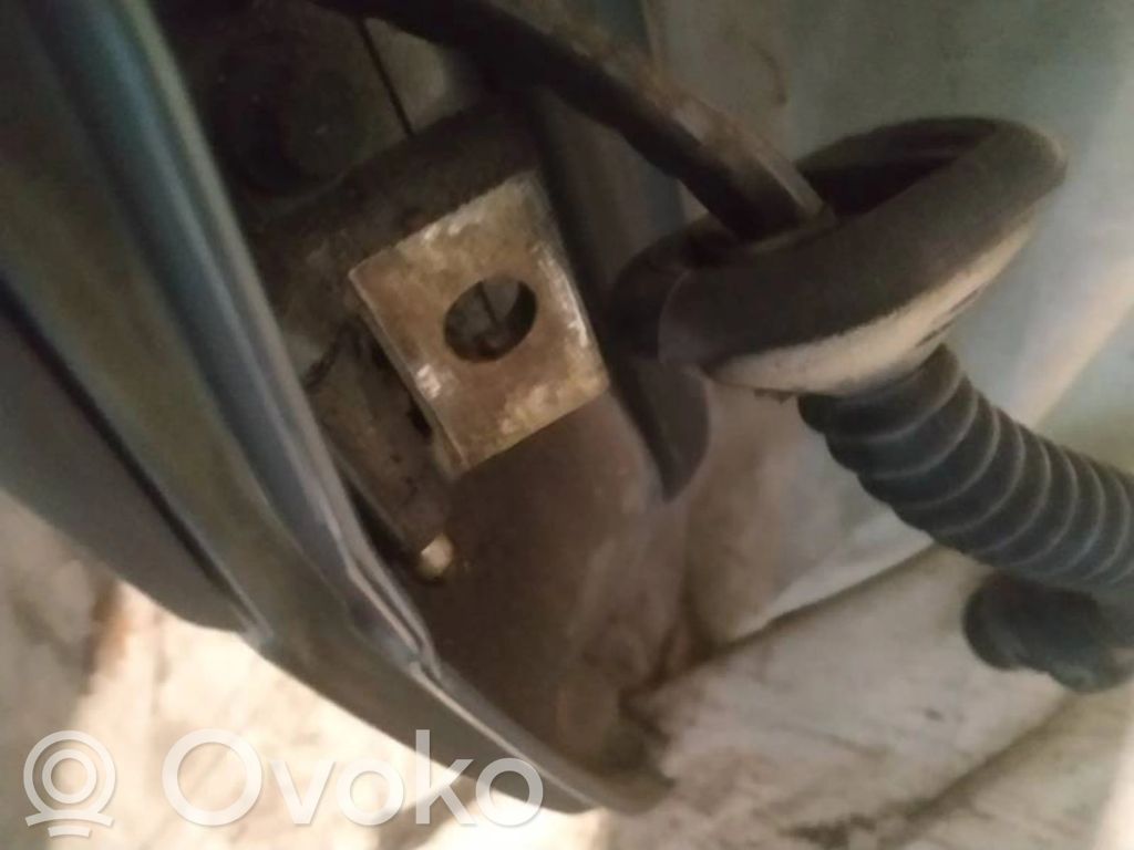 Rear door lower hinge
