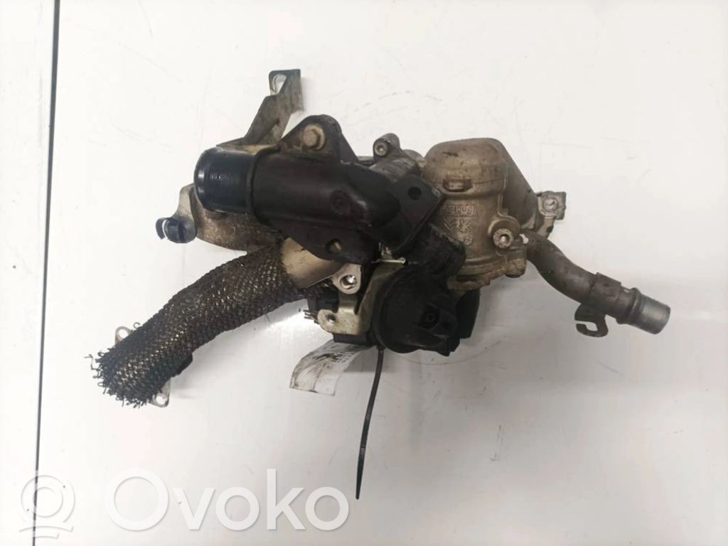 Ford C-MAX II Valvola EGR
