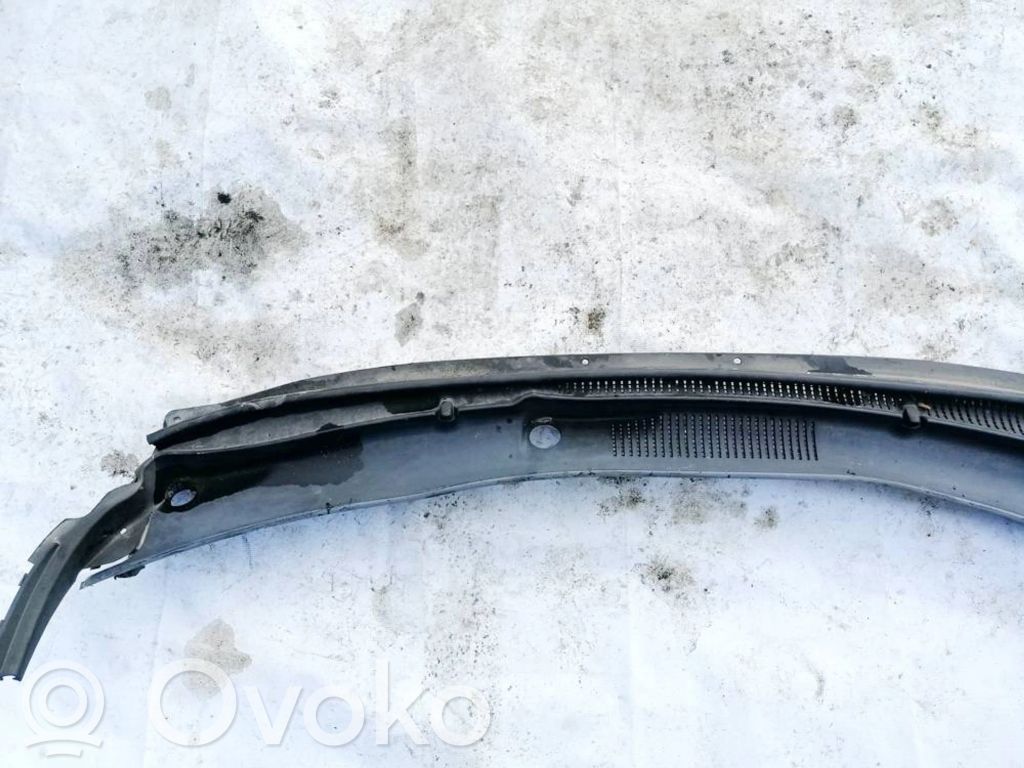 Hyundai Santa Fe Rivestimento del tergicristallo