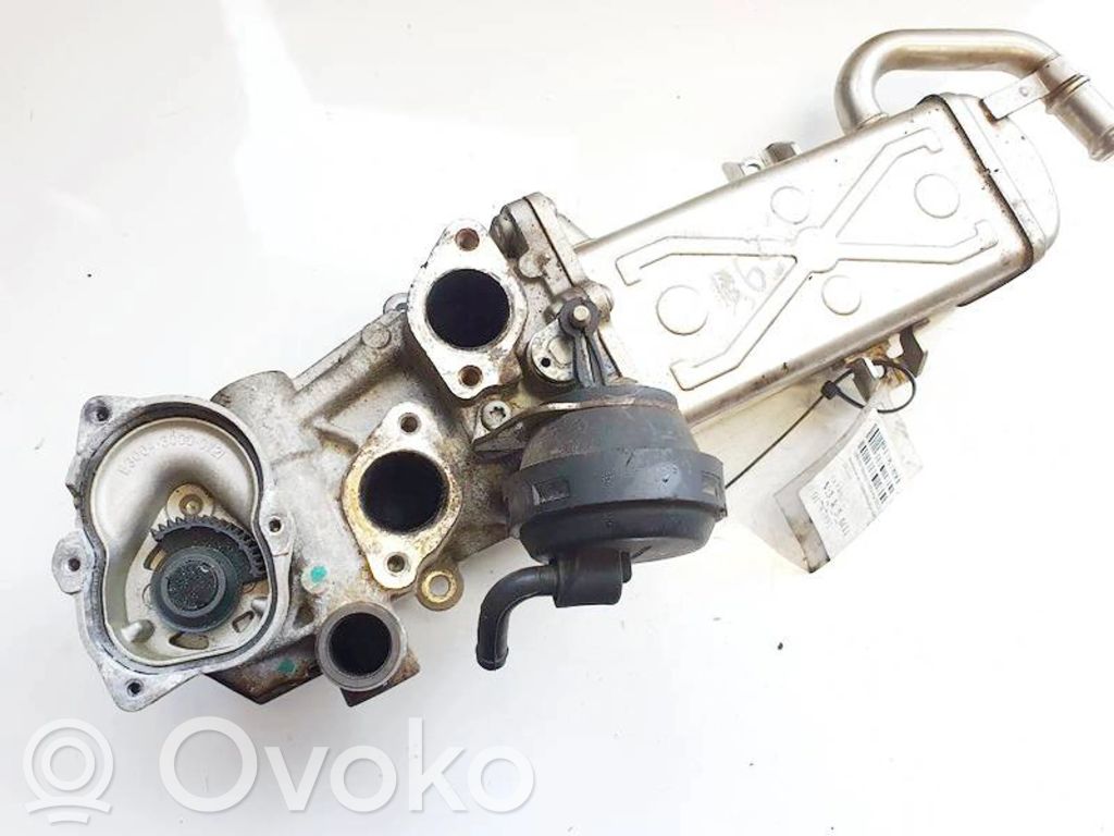Skoda Octavia Mk2 (1Z) Valvola di raffreddamento EGR 