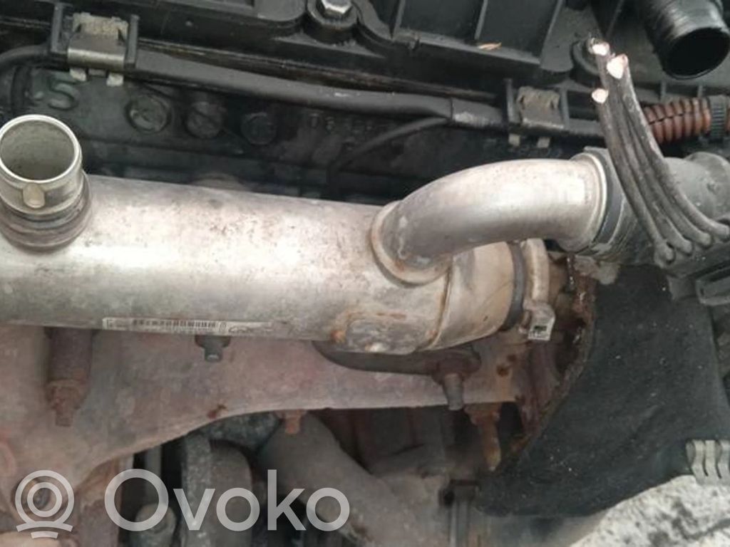 Ford S-MAX Valvola di raffreddamento EGR