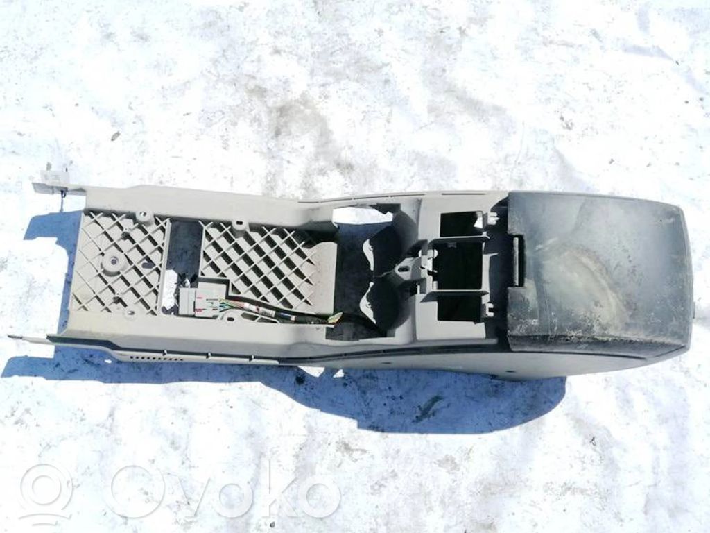 Armlehne   1002156AA,1002156AA