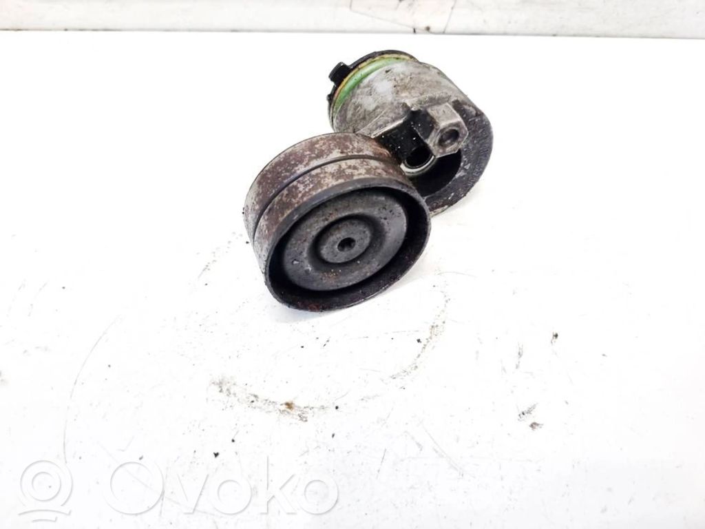 Nissan Primera Întinzător curea generator/alternator 