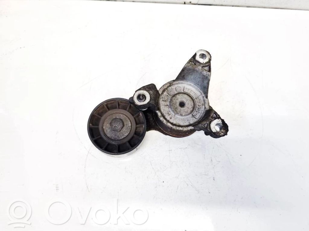 Peugeot 407 Tensor de correa del alternador 