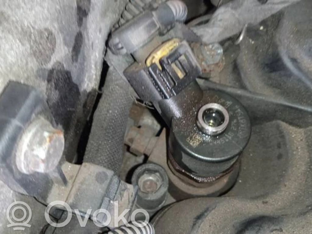 Inyector de combustible   0445110276,0445110276
