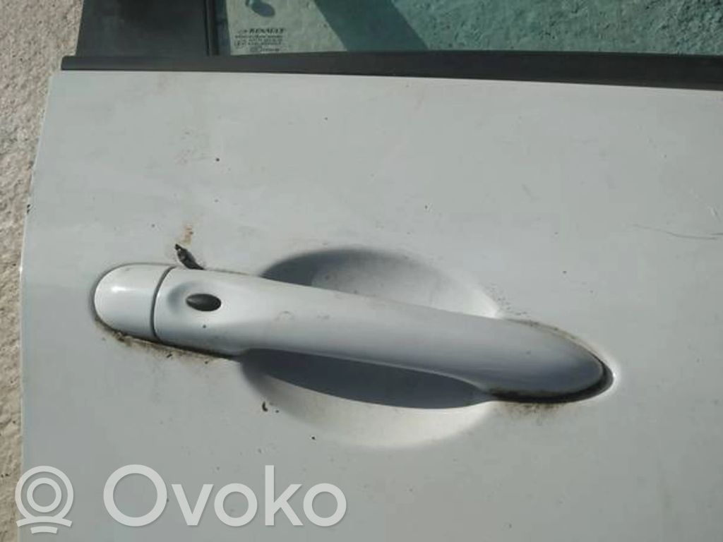 Renault Zoe Mâner exterior ușă față 
