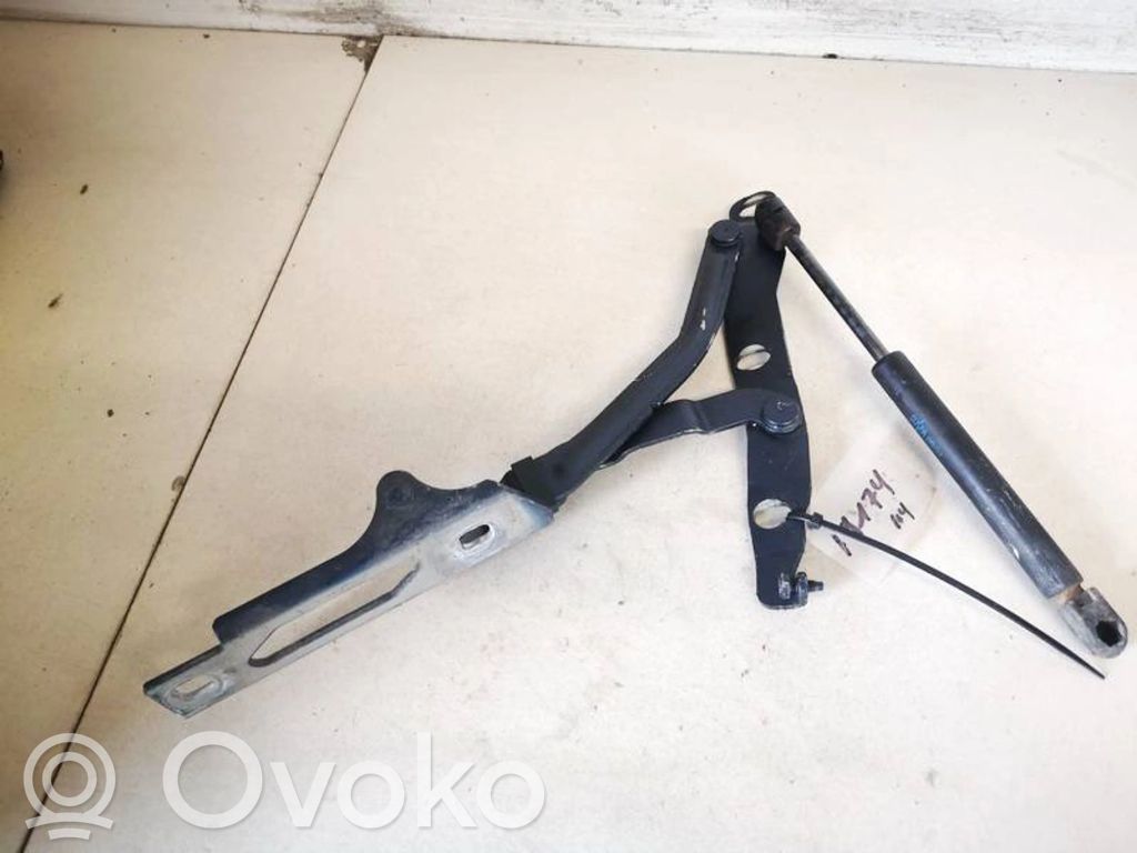 Tailgate/trunk/boot hinge   09177084,09177084