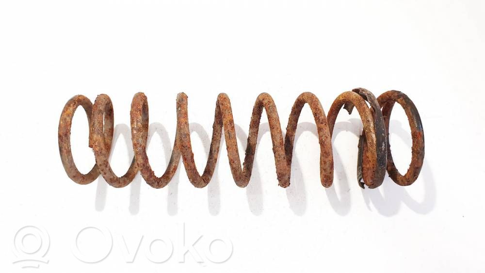 Muelle espiral trasero