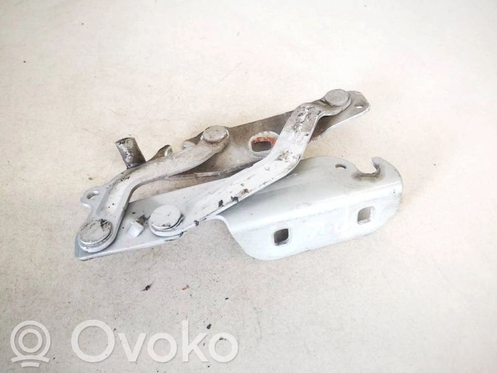 Ford Fiesta Cerniere del vano motore/cofano
