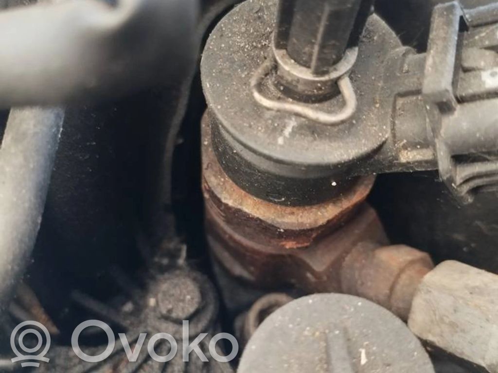 Injector combustibil   0445110297,0445110297