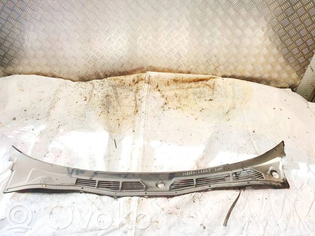 Moldura del limpia
