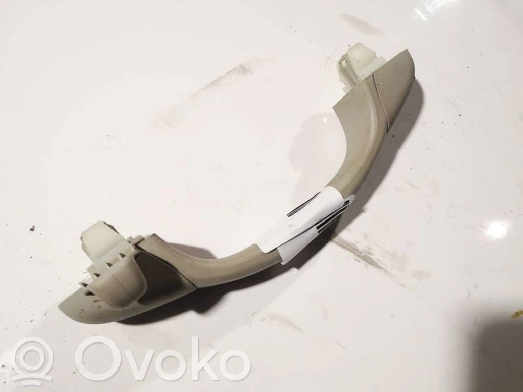Asidero interior trasero   12794034,12794034