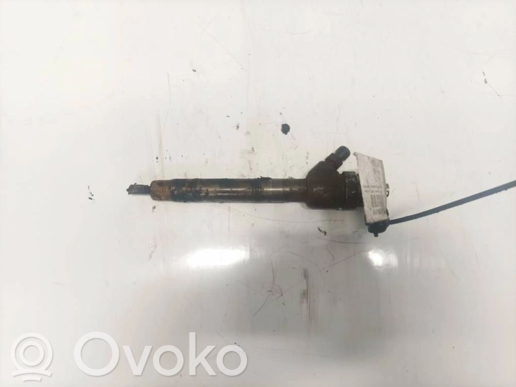 Injector combustibil   0445110256,0445110256,0445110256