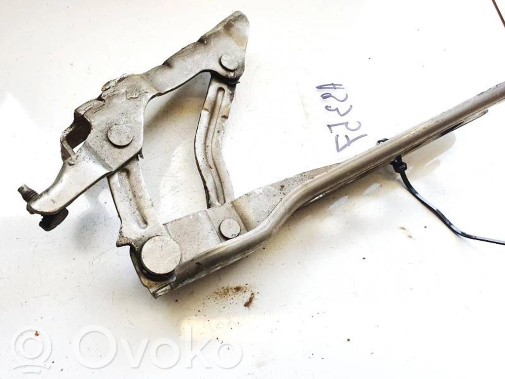 Skoda Octavia Mk2 (1Z) Cerniere del vano motore/cofano