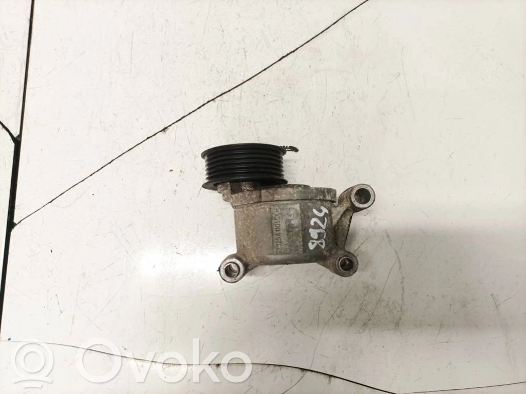 Volvo V50 Tendicinghia generatore/alternatore