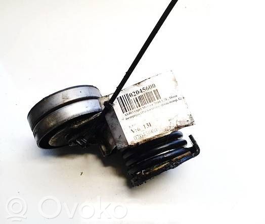 Opel Meriva A Tensor de correa del alternador 
