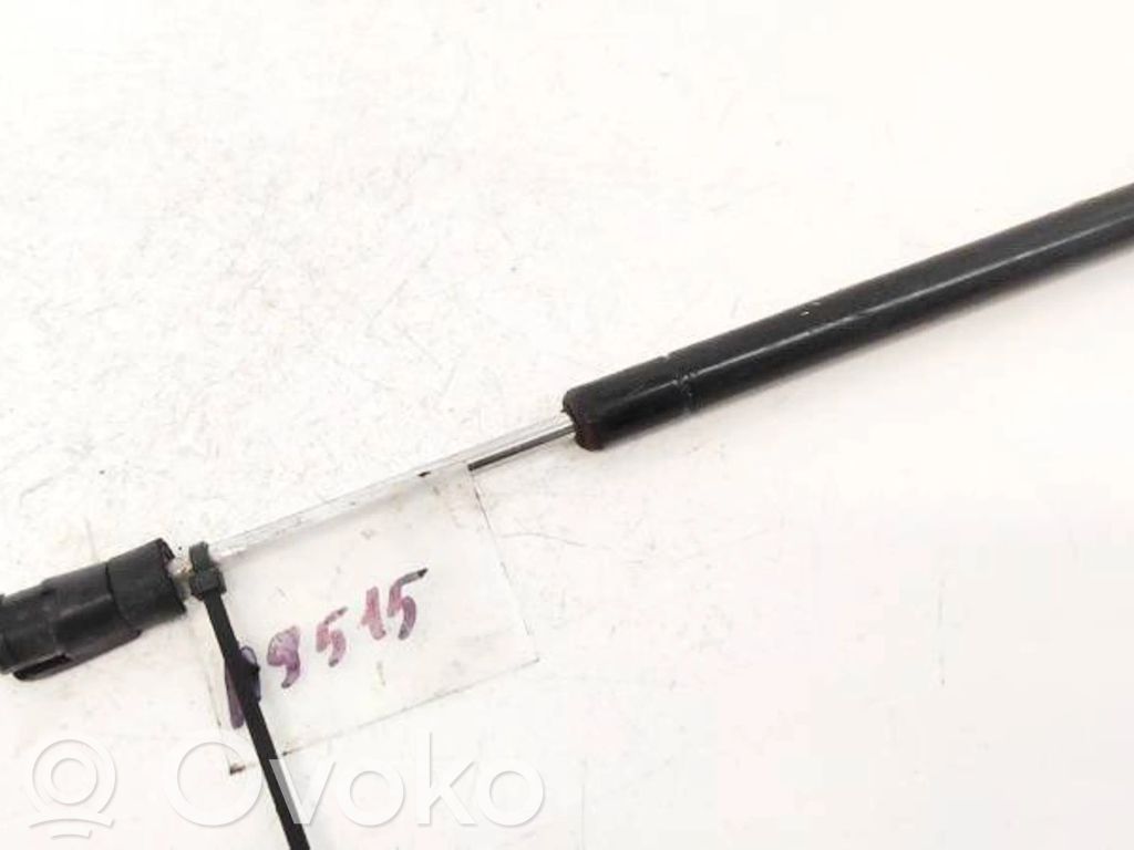 Chrysler 300 - 300C Amortiguador/puntal del capó/tapa delantero 
