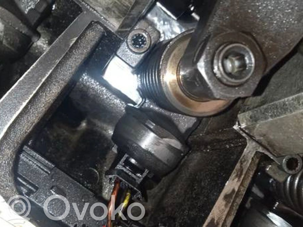 Injector combustibil   038130073AG,038130073AG