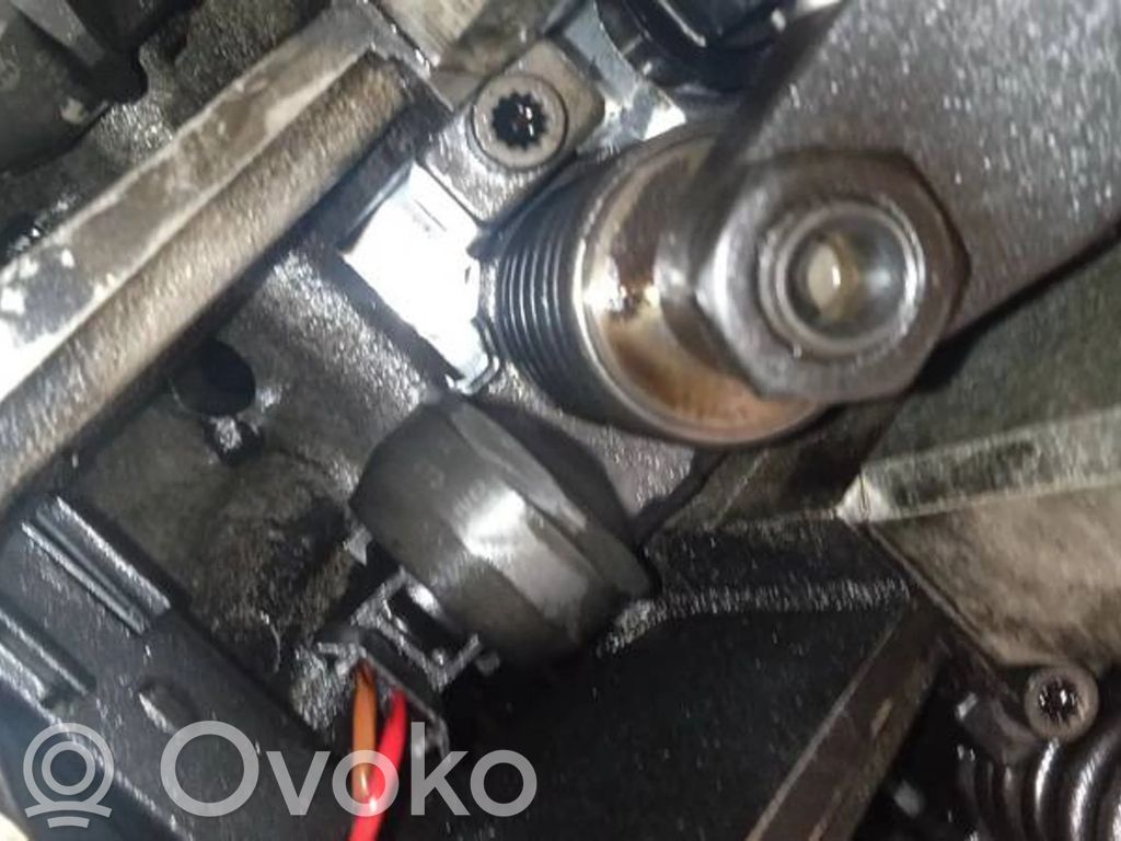 Injector combustibil   038130073AG,038130073AG