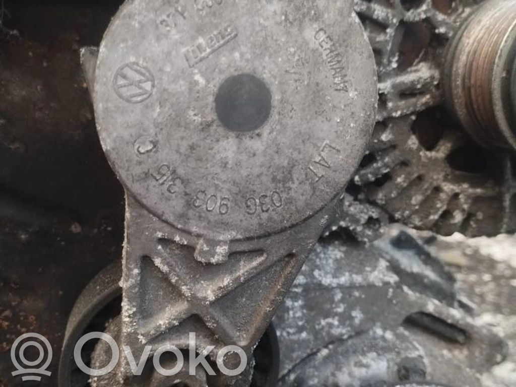 Tensor de correa del alternador   03G903315,03G903315