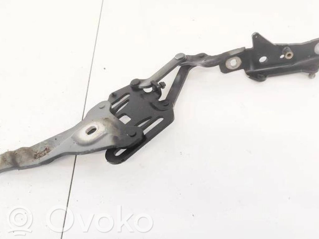 BMW X5 E70 Balamale capotă