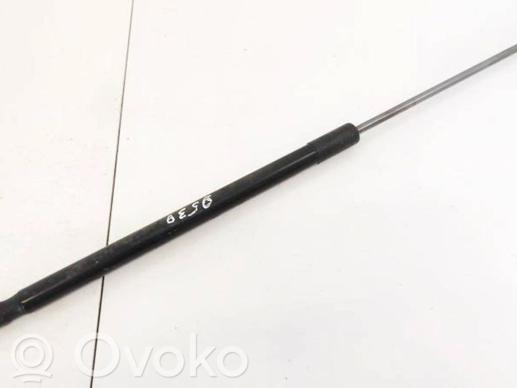 Ford Focus Amortizor hayon 
