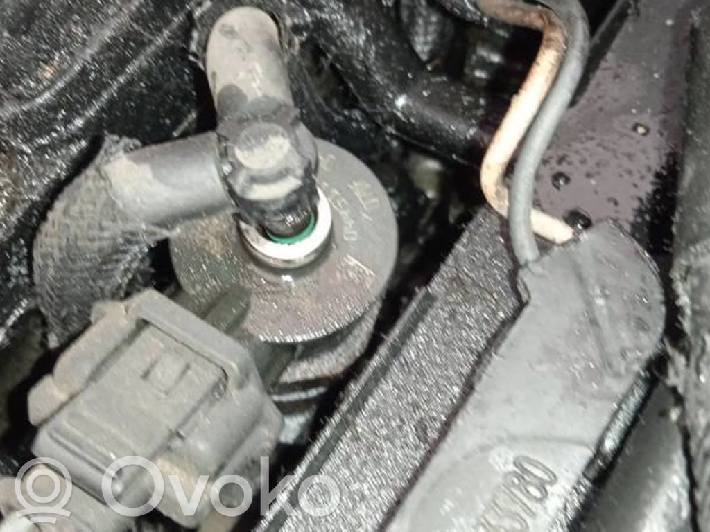 Peugeot 206 Injector combustibil 