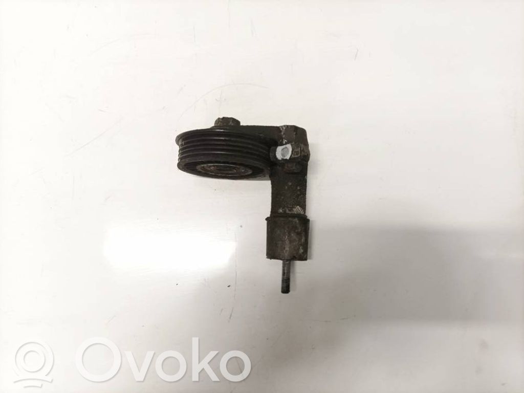 Audi A6 S6 C5 4B Întinzător curea generator/alternator 