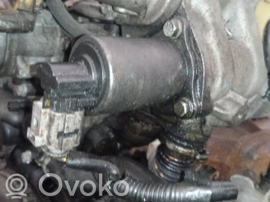 Nissan Primera Valvola EGR