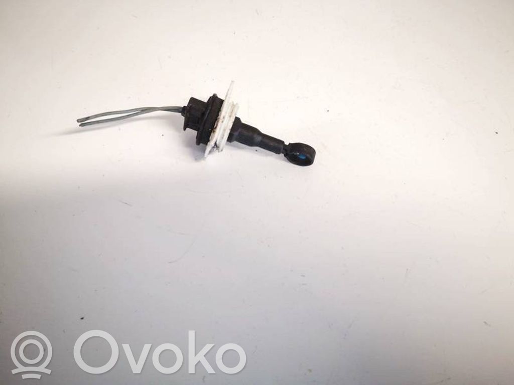 Sensore temperatura interna   006667V,006667V