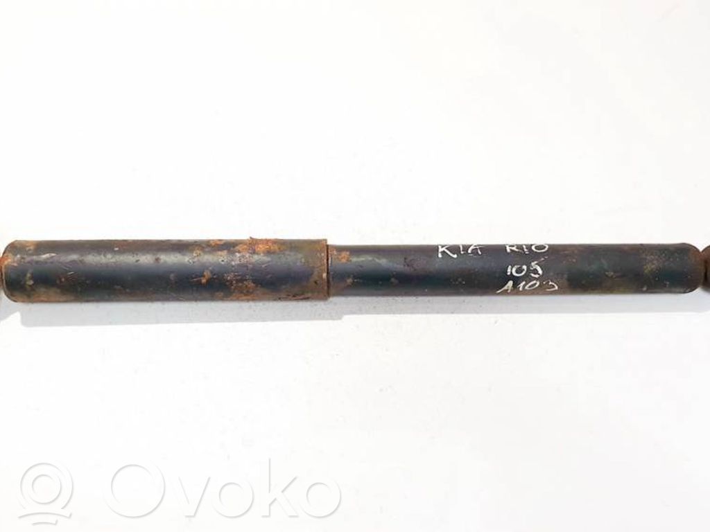 Stoßdämpfer hinten   343424,343424