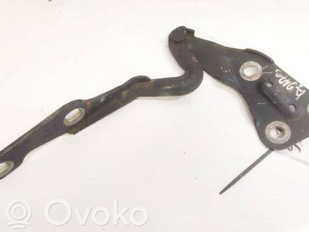 Opel Astra G Balamale capotă 