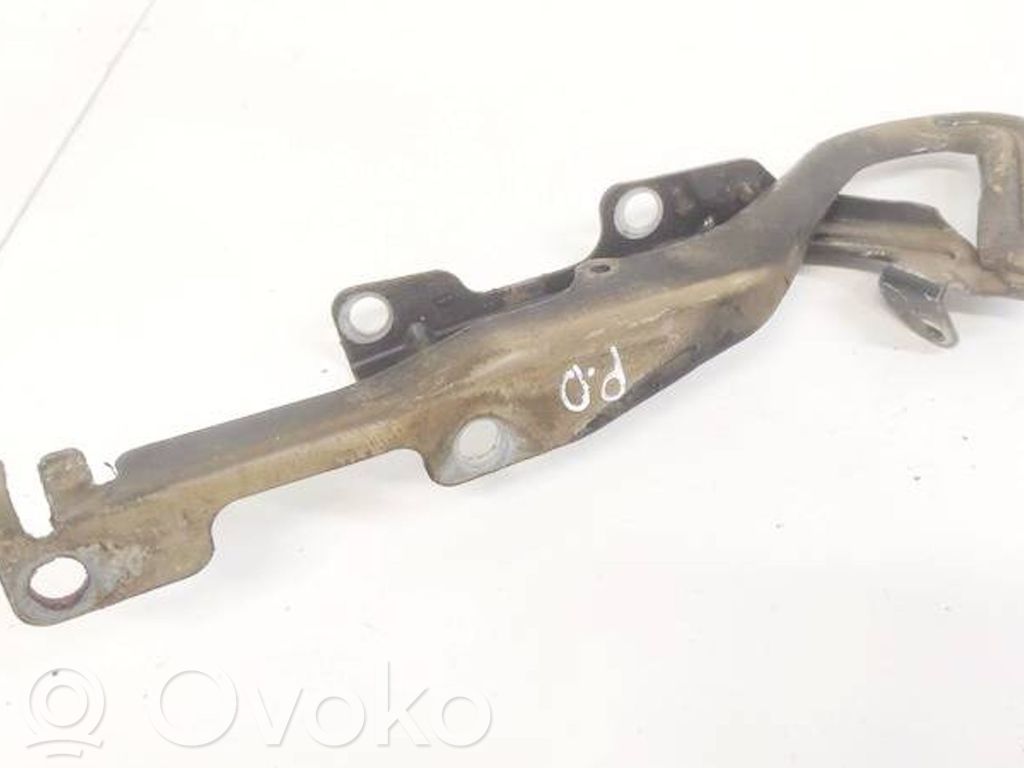 Peugeot 207 Cerniere del vano motore/cofano 