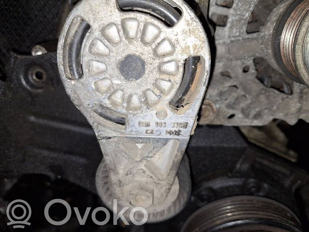 Volkswagen PASSAT B6 Tendicinghia generatore/alternatore