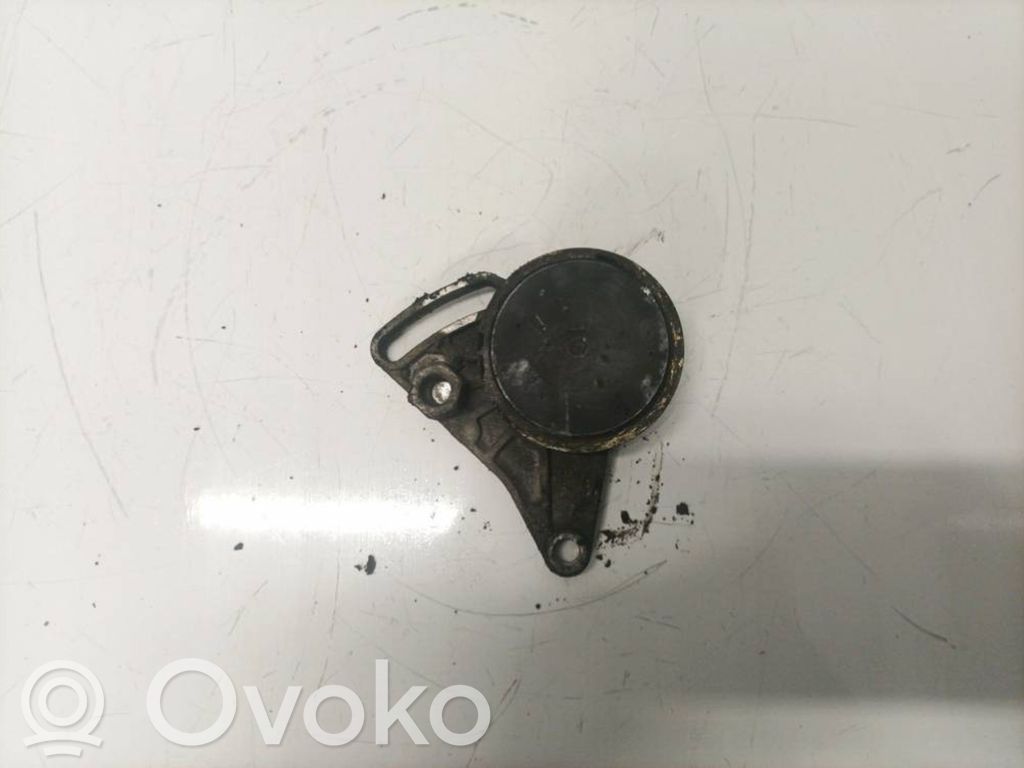 Volkswagen PASSAT B5 Întinzător curea generator/alternator 