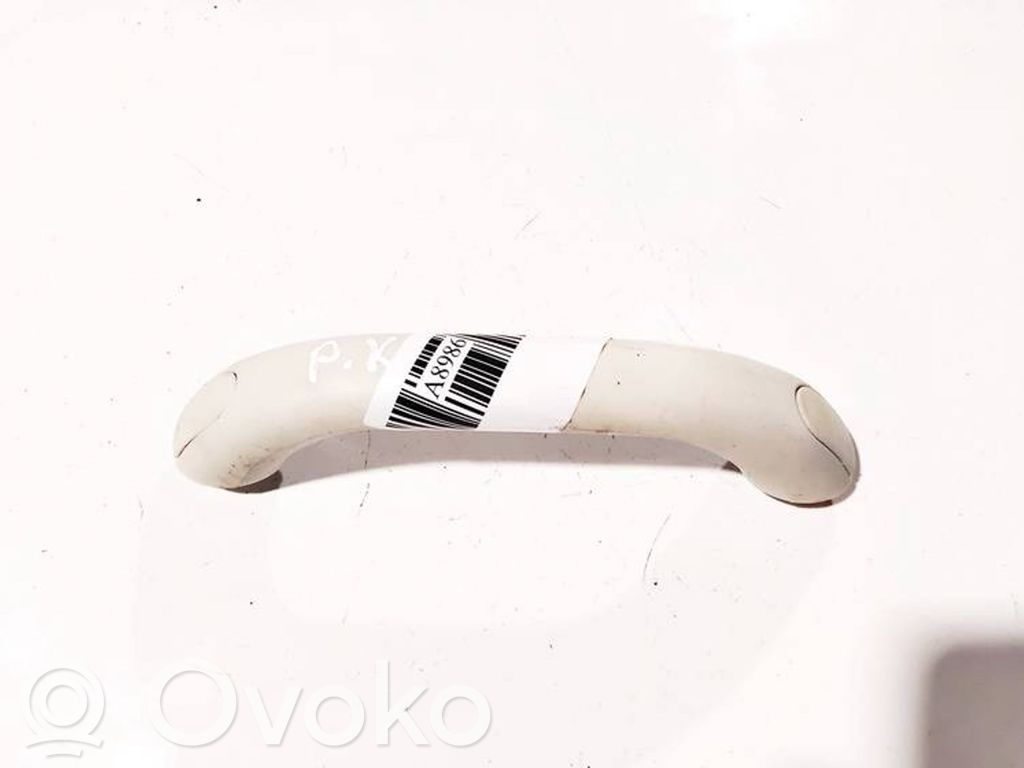 Asidero interior delantero   100013039,100013039