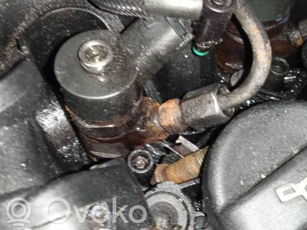 Inyector de combustible   0445110239,0445110239