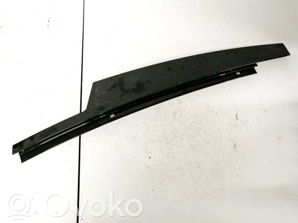 BMW 5 G30 G31 G38 Ornament geam ușă față 