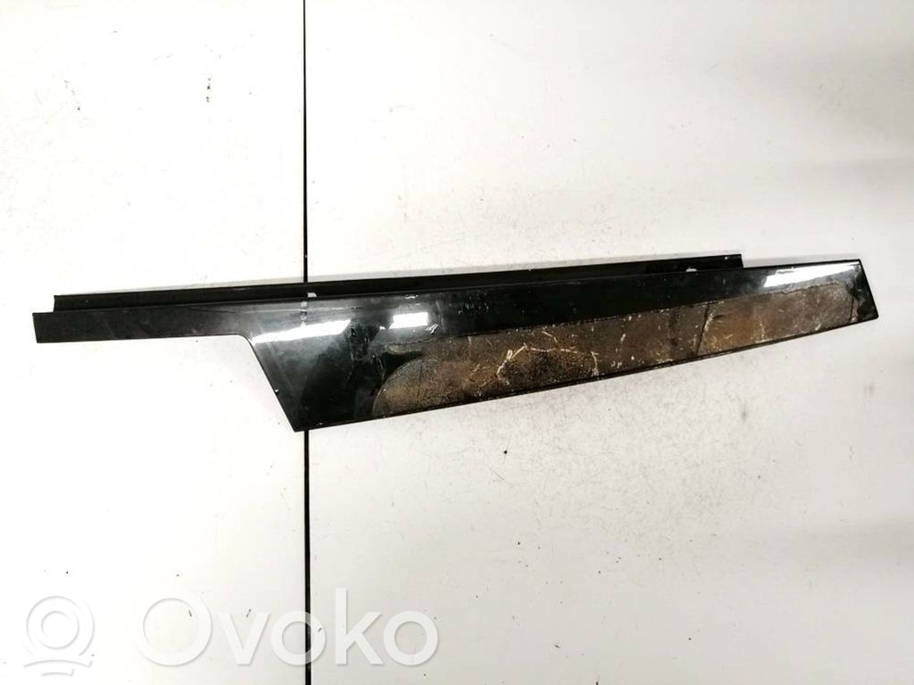 BMW 5 G30 G31 G38 Ornament geam ușă față 
