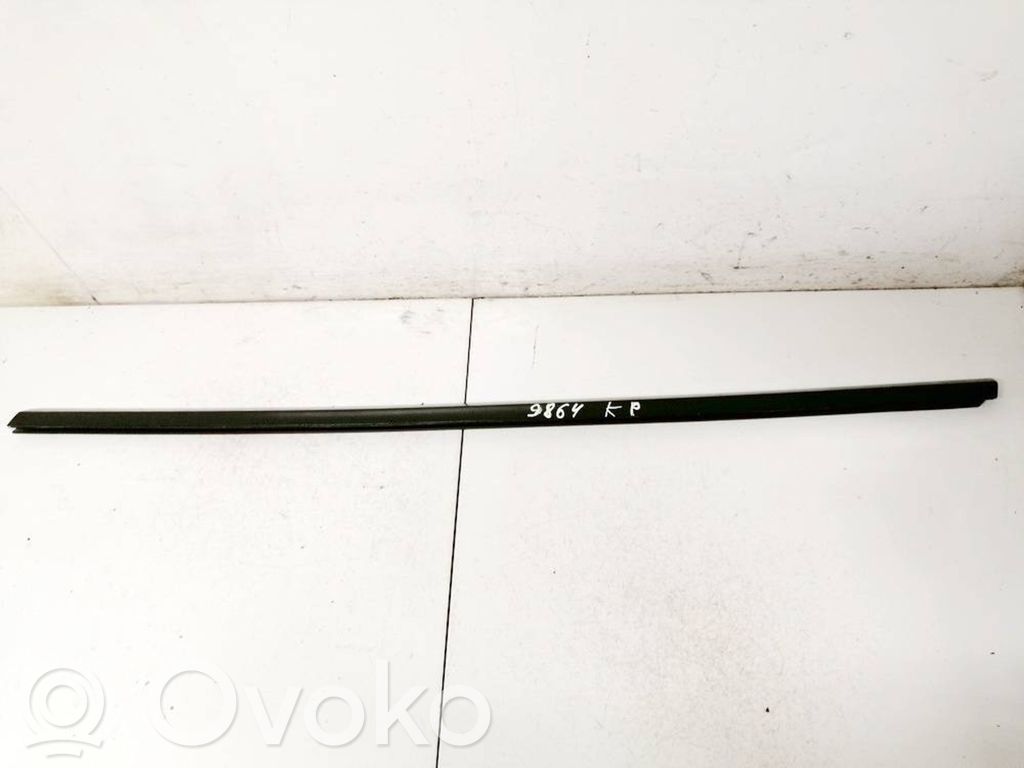 Tesla Model Y Listwa / Uszczelka szyby drzwi 