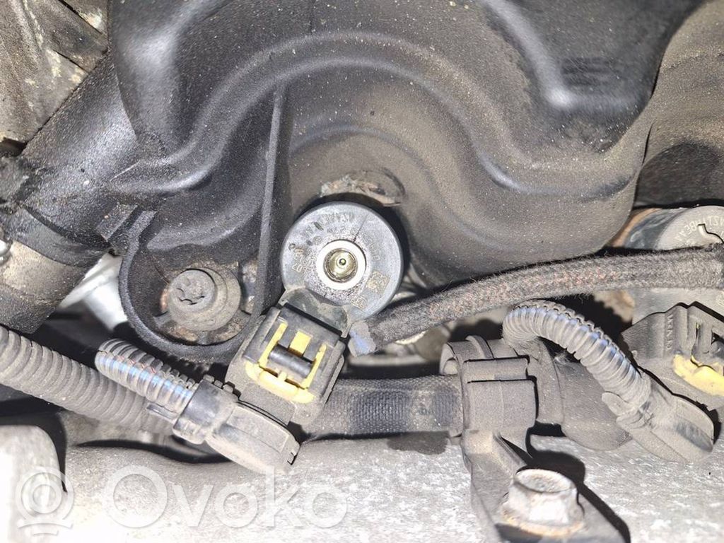 Inyector de combustible   0445110276,0445110276