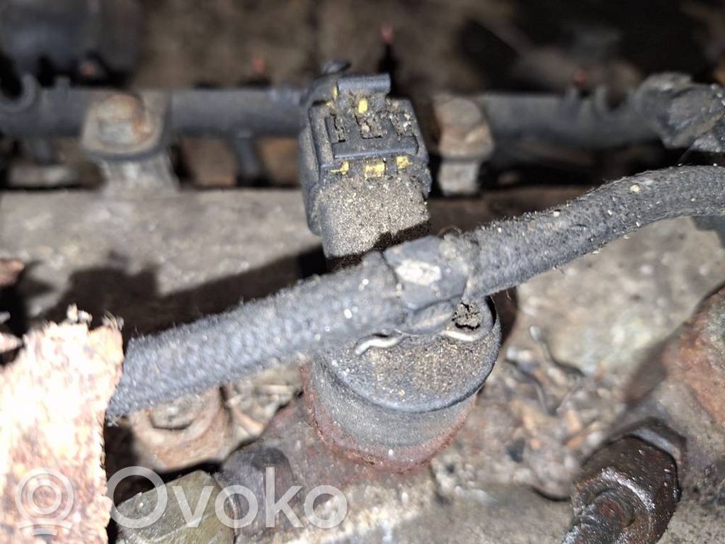 Injektor Einspritzdüse   0445110083,0445110083