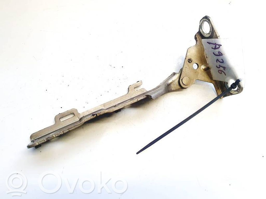 Citroen C5 Cerniere del vano motore/cofano 
